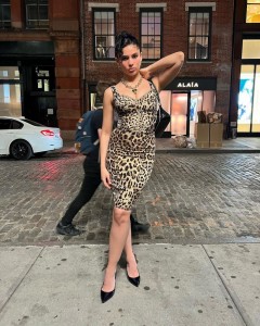 Leopard print sheath sexy dress with zipper back