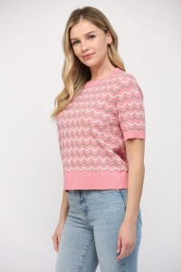 Knit Short Sleeve Sweater